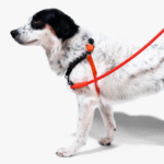 Zeedog Fatboy Soft-Walk Harness