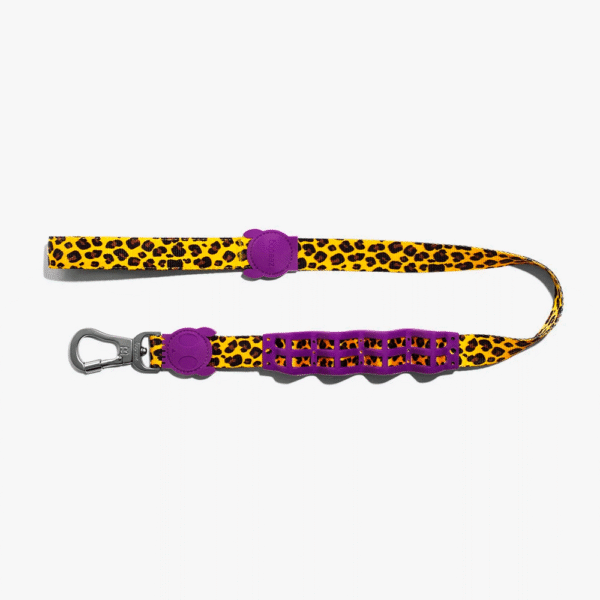 Zeedog Honey Correa Ruff
