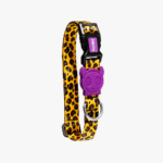 Zeedog Honey Dog Collar