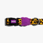 Zeedog Honey Dog Collar
