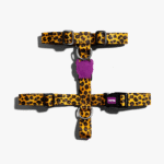Zeedog-Honey-Dog-H-Harness