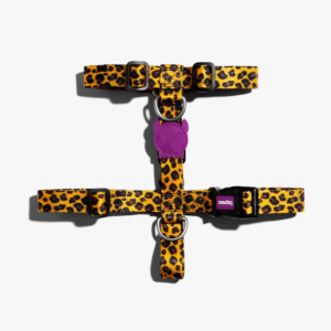 Zeedog-Honey-Dog-H-Harness