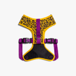 Zeedog-Honey-Pechera-Air-Mesh
