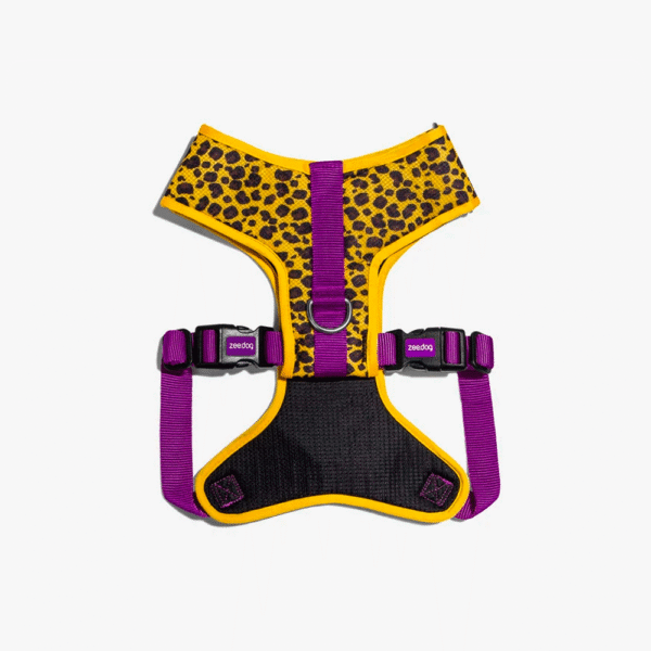 Zeedog-Honey-Pechera-Air-Mesh