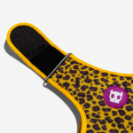 Zeedog-Honey-Pechera-Air-Mesh