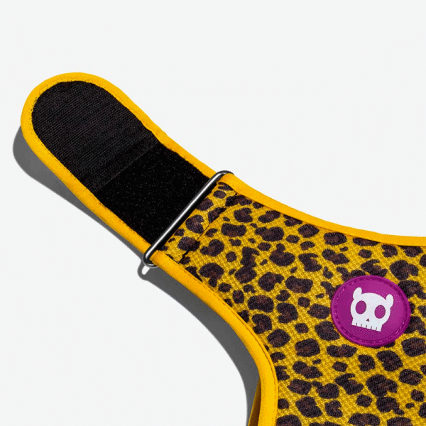 Zeedog-Honey-Pechera-Air-Mesh