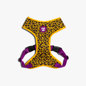 Zeedog-Honey-Pechera-Air-Mesh