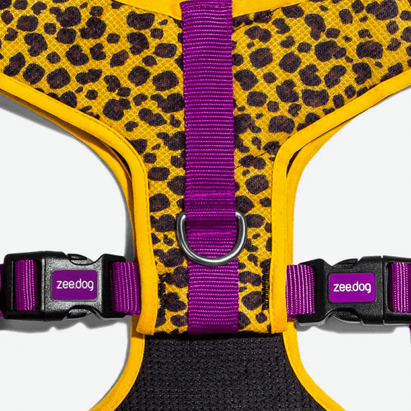 Zeedog-Honey-Pechera-Air-Mesh
