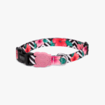 Zeedog Mahalo Dog Collar