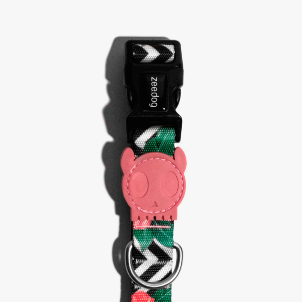 Zeedog Mahalo Dog Collar