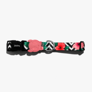 Zeedog Mahalo Dog Collar