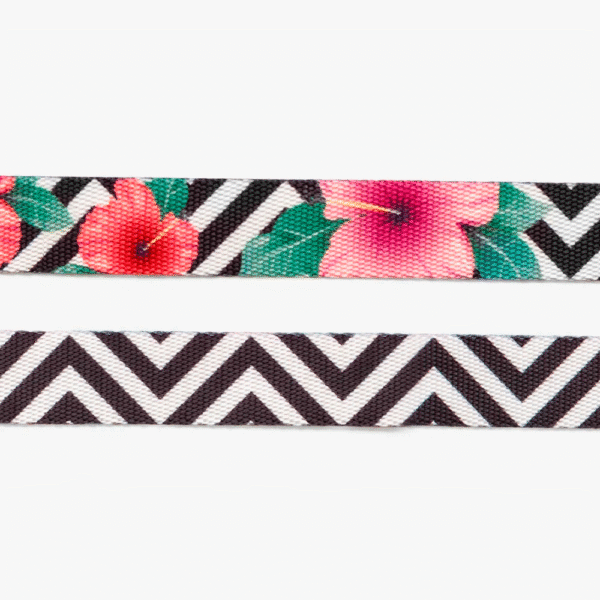 Zeedog Mahalo Dog Collar