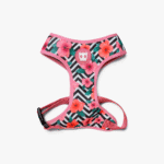 Zeedog-Mahalo-Pechera-Air-Mesh