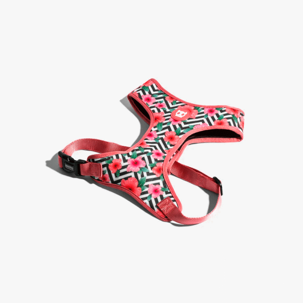 Zeedog-Mahalo-Pechera-Air-Mesh