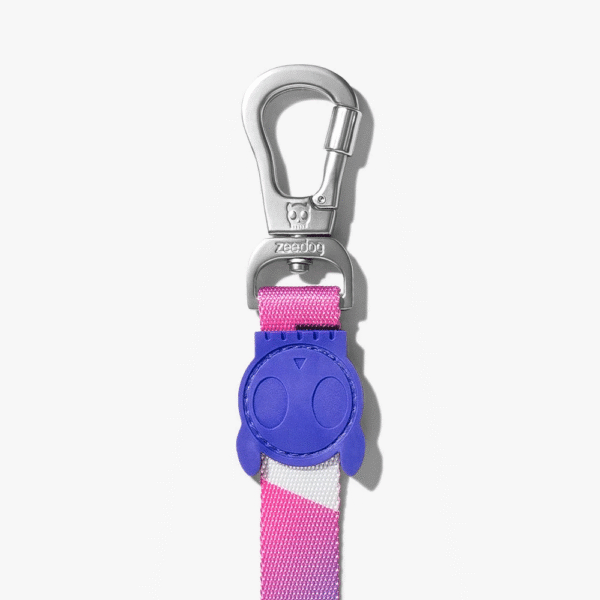 Zeedog Midnight Correa