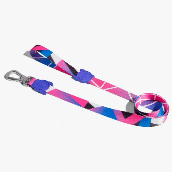 Zeedog Midnight Correa