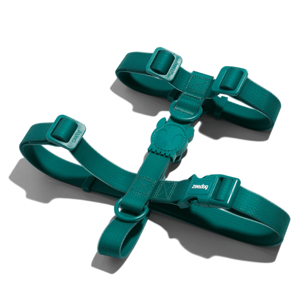 Zeedog Neopro Amazonia Dog H-Harness