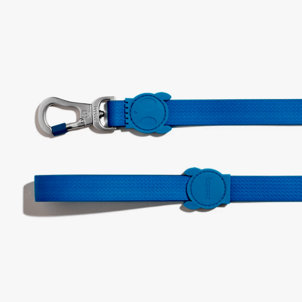 Zeedog Neopro Blue Correa