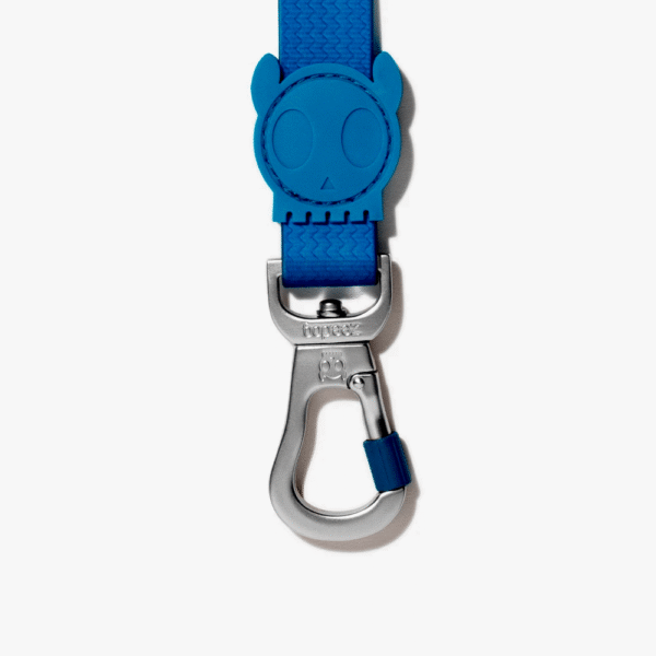 Zeedog Neopro Blue Correa