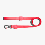 Zeedog Neopro Bubblegum Correa