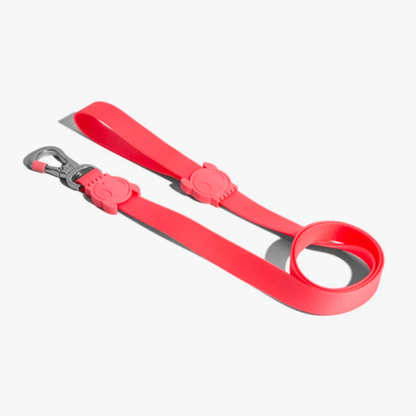 Zeedog Neopro Bubblegum Correa