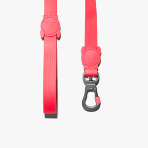 Zeedog Neopro Bubblegum Correa
