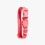 Zeedog Neopro Bubblegum Dog Collar