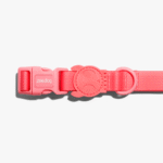 Zeedog Neopro Bubblegum Dog Collar
