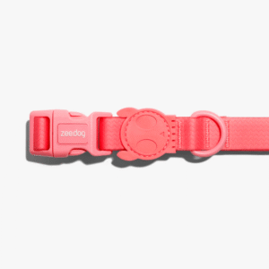 Zeedog Neopro Bubblegum Dog Collar