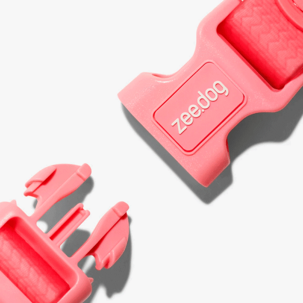 Zeedog Neopro Bubblegum Dog Collar