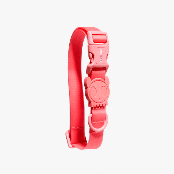 Zeedog Neopro Bubblegum Dog Collar