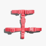 Zeedog Neopro Bubblegum Dog H-Harness