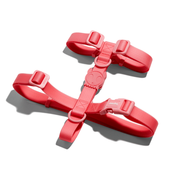 Zeedog Neopro Bubblegum Dog H-Harness