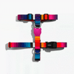 Zeedog Prisma Dog H-Harness