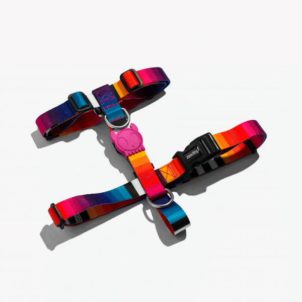 Zeedog-Prisma-H-Harness