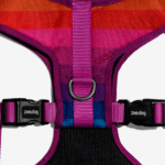Zeedog-Prisma-Pechera-Air-Mesh