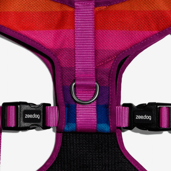 Zeedog-Prisma-Pechera-Air-Mesh
