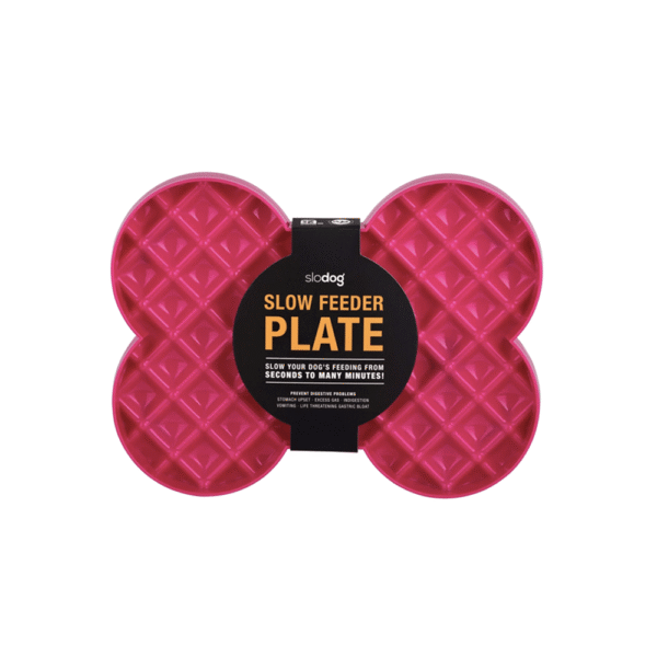 SloDog-Plato-Antivoracidad