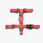Zeedog Neon Coral Dog H-Harness