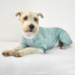 Pijama Verde Gris 5