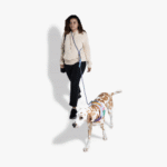 Zeedog-Andromeda-Correa-Hands-Free