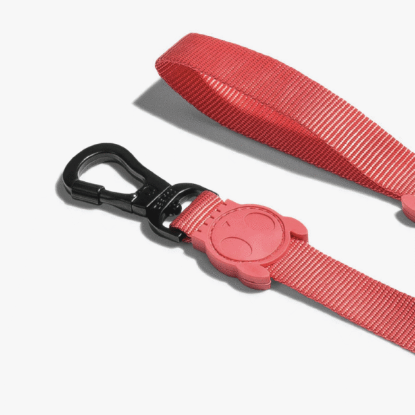 Zeedog-Neon-Coral-Correa