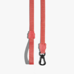 Zeedog-Neon-Coral-Correa