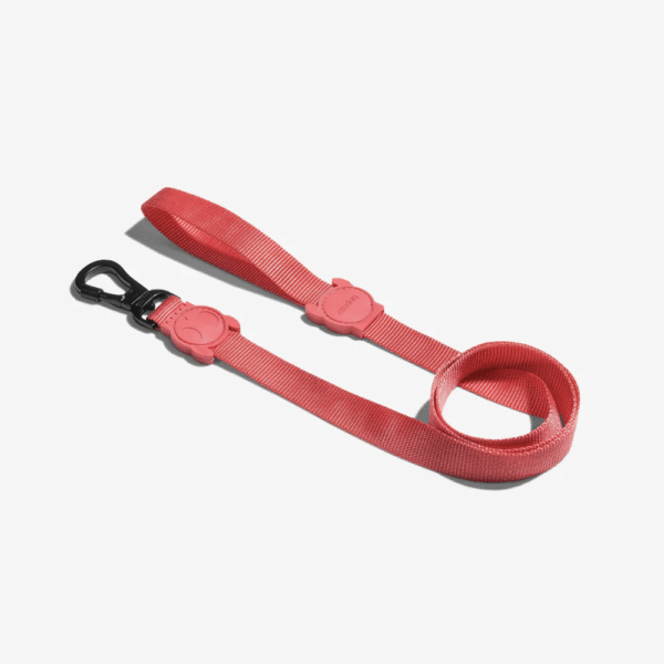 Zeedog-Neon-Coral-Correa