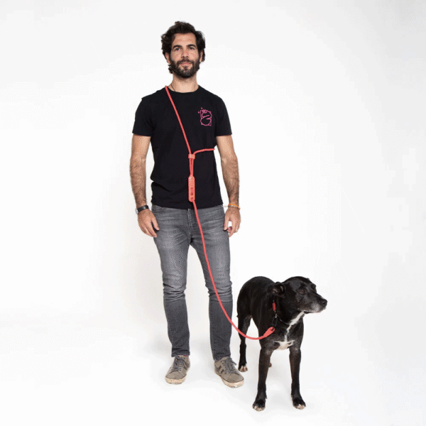 Zeedog-Neon-Coral-Correa-Hands-Free