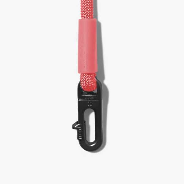 Zeedog-Neon-Coral-Correa-Hands-Free