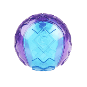 GiGwi Ball Squeaker Morado y Azul