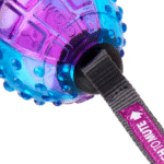 GiGwi Regular Ball Push To Mute Morado y Azul