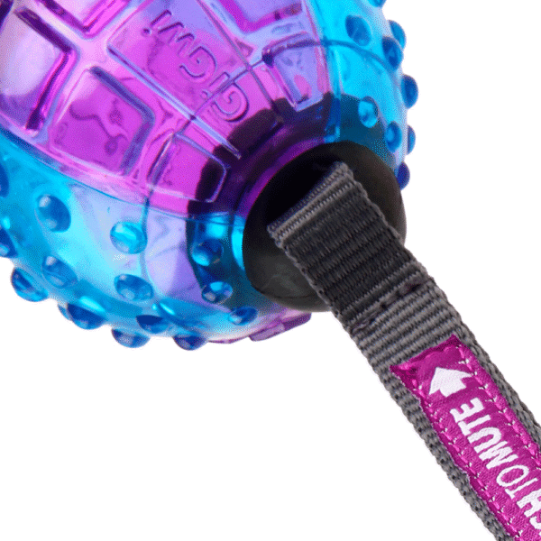 GiGwi Regular Ball Push To Mute Morado y Azul