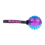 GiGwi Regular Ball Push To Mute Morado y Azul